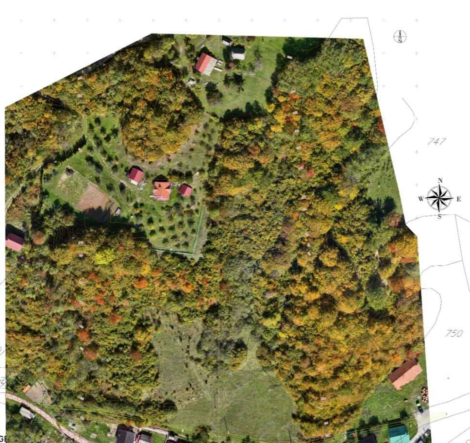 Investment Land 31,000 m² – KO Smajlagića polje, Municipality of Kolašin